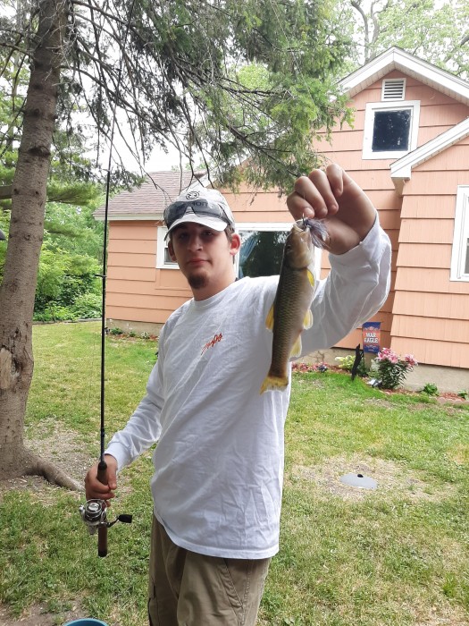 Creek Chub Caught by Daniel with Mepps Aglia Bait Series in Michigan